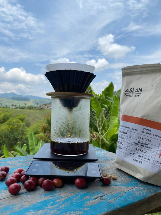 Por que tomar café de especialidad?